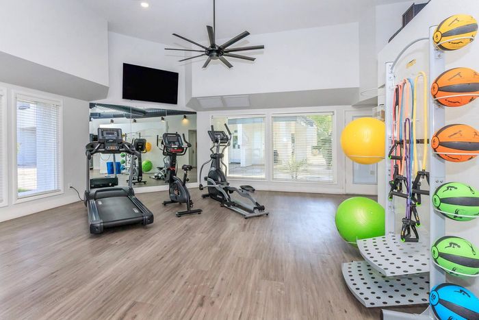 Modern, sunlit gym with state-of-the-art cardio equipment, vibrant exercise balls, and sleek wood flooring.