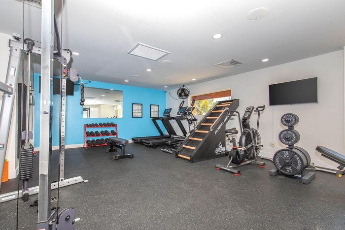 Modern apartment gym with high-end fitness equipment, featuring treadmills, weight racks, and a unique Jacobs Ladder machine against a vibrant blue accent wall.