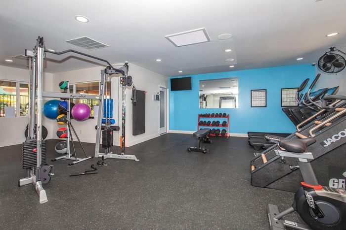 Modern fitness center equipped with state-of-the-art machines, free weights, and vibrant exercise balls against a bright blue accent wall.