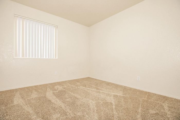 Bright and airy bedroom with plush carpeting and a large window offering ample natural light.