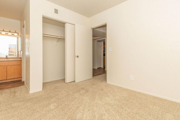 Bright bedroom featuring plush carpet, spacious closet, and sleek bathroom vanity with warm lighting.