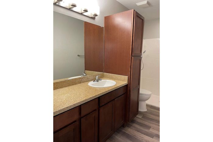 Modern bathroom featuring elegant wood cabinetry, a granite countertop vanity, and sleek wood flooring.