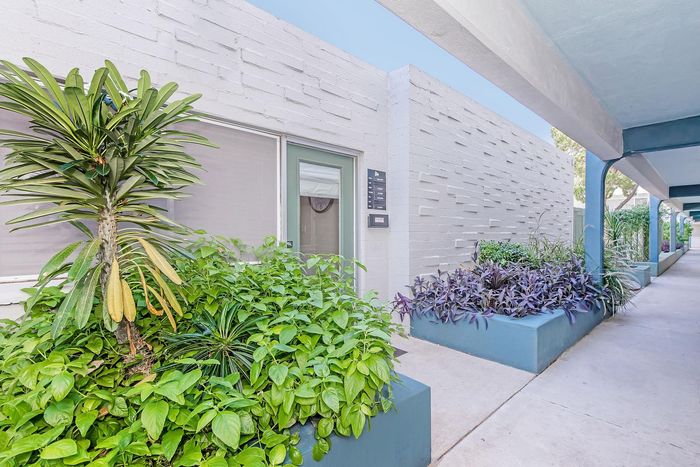 Modern apartment entrance with lush greenery and stylish architectural design, featuring a serene walkway lined with vibrant plants.