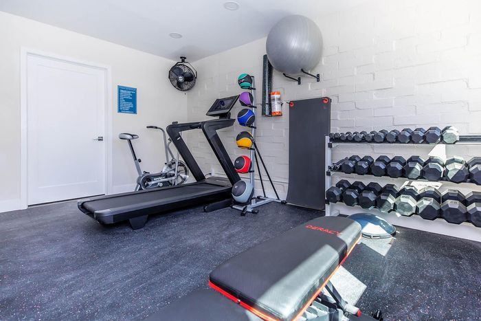 Bright, modern home gym featuring a treadmill, exercise bike, weight rack, and colorful medicine balls for a complete workout experience.