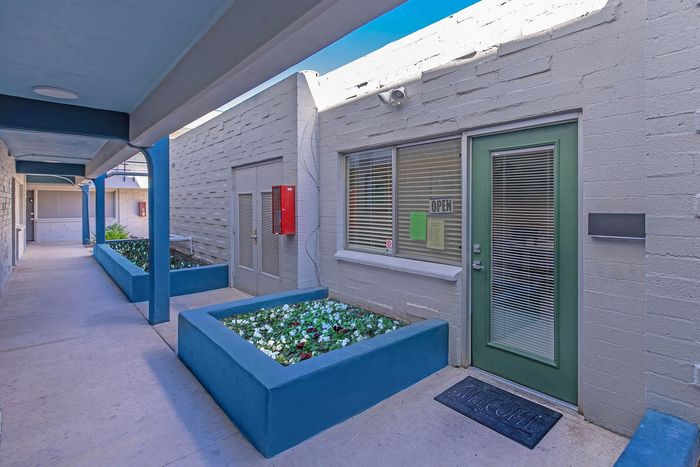 Inviting light-filled hallway with vibrant blue planters and a welcoming entrance to the apartment.
