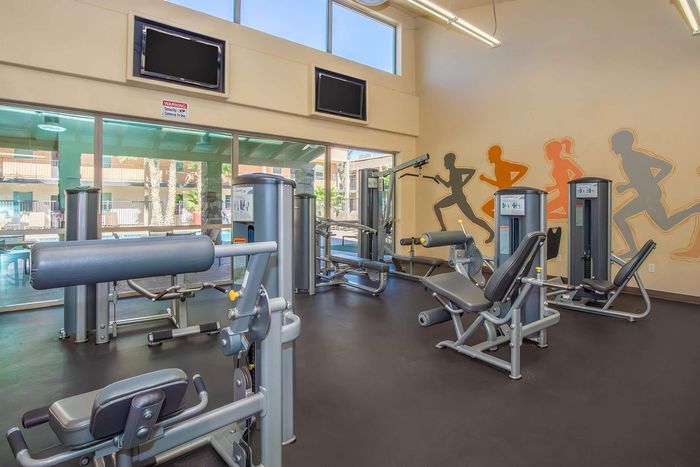 Modern fitness center featuring state-of-the-art gym equipment and vibrant wall art, overlooking a sunlit pool area.
