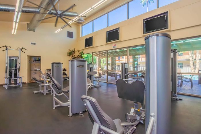 Modern gym facility with state-of-the-art fitness equipment, high ceilings, and large windows overlooking a serene outdoor area.