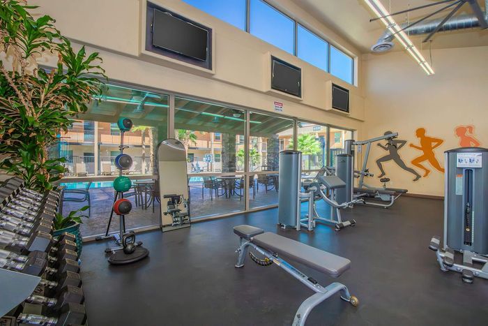 Modern fitness center with state-of-the-art equipment, vibrant decor, and a view of the pool area through large glass windows.