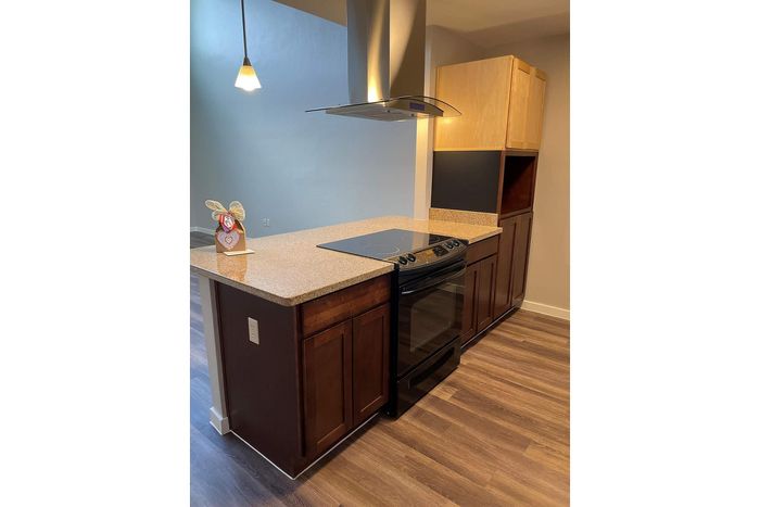 Elegant modern kitchen featuring granite countertops, sleek black appliances, and stylish wooden cabinetry under warm pendant lighting.