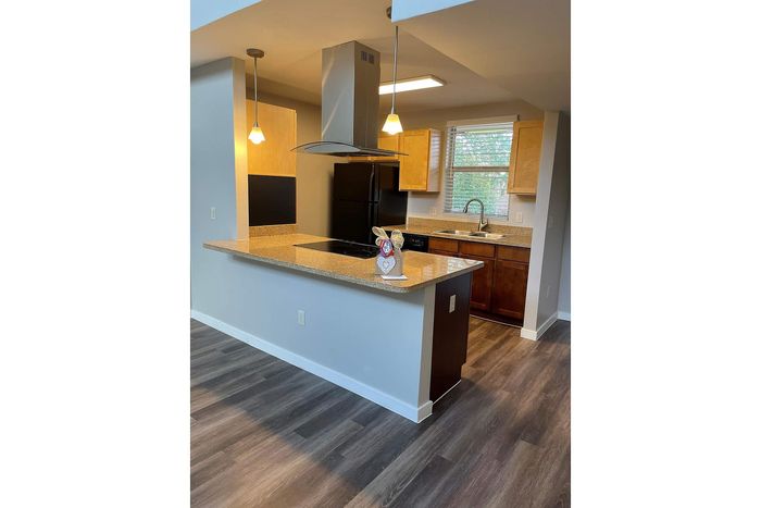 Modern kitchen boasting sleek granite countertops, elegant pendant lighting, and contemporary hardwood flooring.