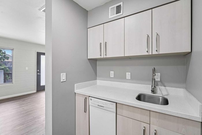 Modern kitchen with sleek cabinetry, built-in dishwasher, and expansive counter space, offering a bright and open feel.