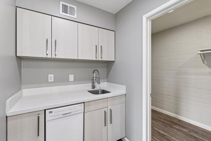 Modern utility area showcasing sleek cabinetry, a compact sink, and integrated dishwasher for efficient living.