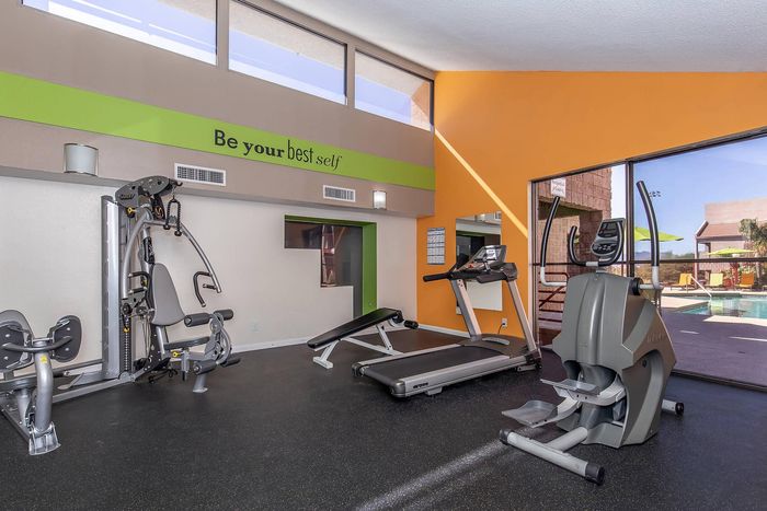 Modern apartment gym with state-of-the-art equipment, featuring cardio machines and a weight station, filled with natural light and vibrant colors.