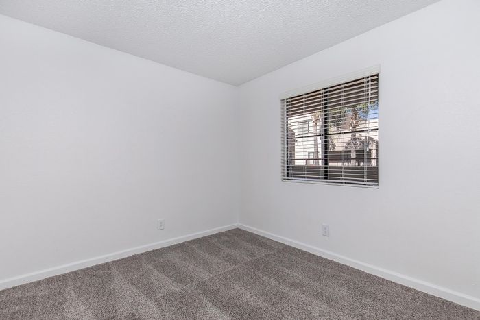 Bright and airy bedroom with plush carpet, neutral walls, and sunny window view.
