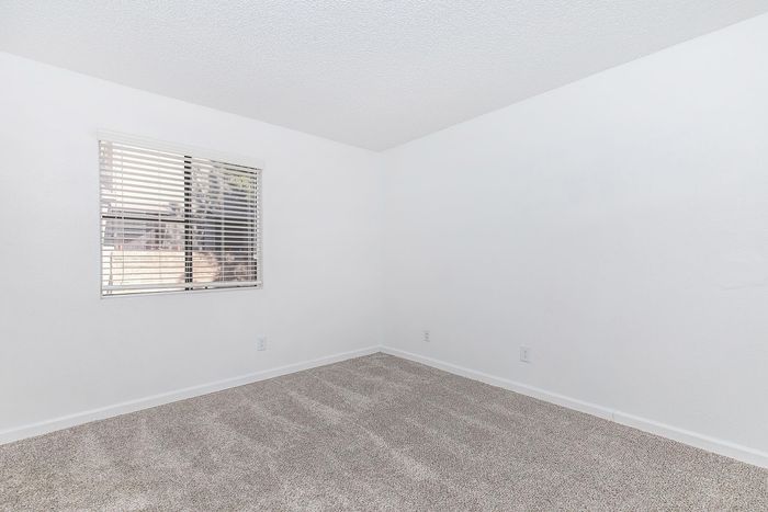 Bright, freshly carpeted room with natural light streaming through a window with blinds, perfect for a cozy bedroom or office space.