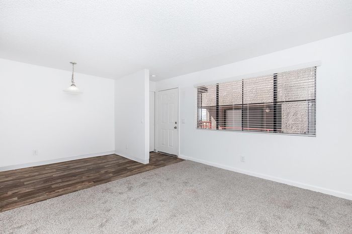 Bright apartment interior with a blend of cozy carpet and stylish wood flooring, featuring a modern light fixture and a large window for natural light.