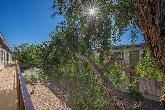 Charming view of an apartment complex with lush greenery and sunlight streaming through tree branches, creating a serene and inviting outdoor space.