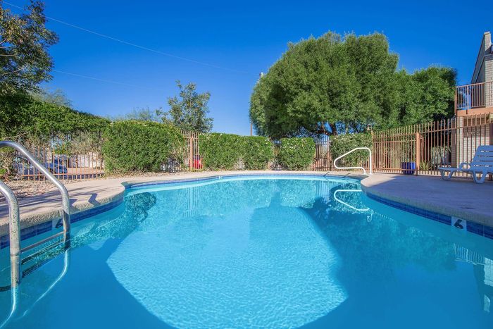 Inviting outdoor pool surrounded by lush greenery, perfect for relaxation under clear blue skies.