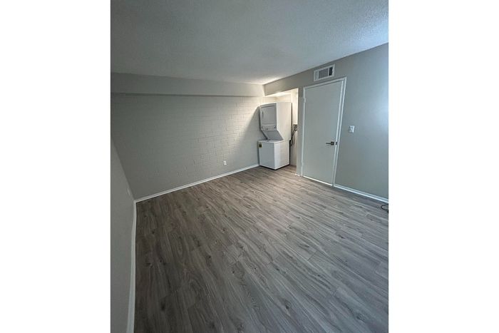 Contemporary apartment space with sleek wood flooring, ample lighting, and in-unit laundry facilities.