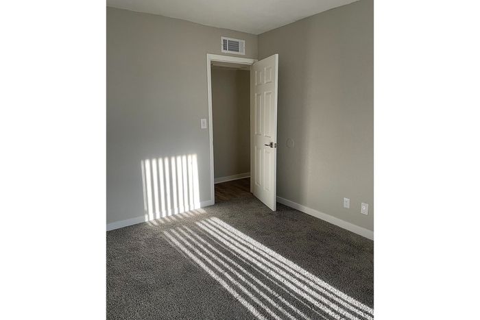 Inviting bedroom with soft carpet flooring, neutral gray walls, and natural light streaming through white blinds, creating a cozy ambiance.