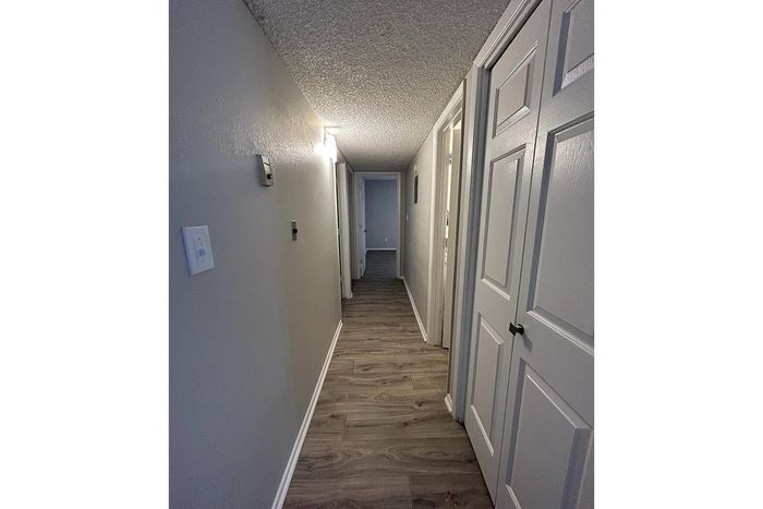 Bright hallway with modern wood flooring and sleek white doors, offering a spacious and inviting atmosphere.