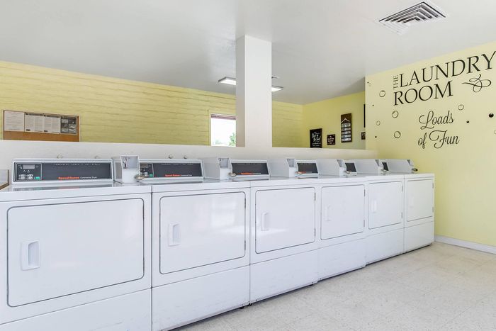 Bright and spacious laundry room with multiple modern dryers and cheerful wall decor, promising loads of fun for residents.