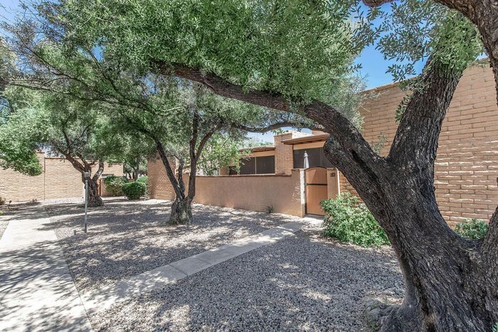 Charming courtyard view showcasing lush trees and a welcoming entrance to a southwestern-style home, exuding serenity and privacy.