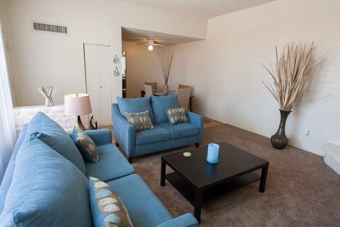 Bright and inviting living room with modern blue sofas, elegant decor, and natural light, perfect for relaxation and entertaining.