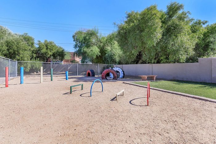Charming outdoor dog park with agility equipment, set against lush greenery and a sunny sky for a fun pet-friendly environment.