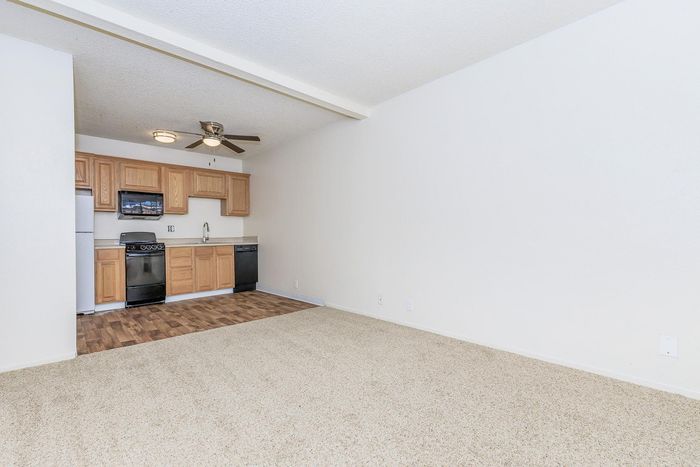 Charming open-concept apartment with a cozy kitchen, featuring wooden cabinetry and modern appliances, flowing into a spacious living area with plush carpet flooring.
