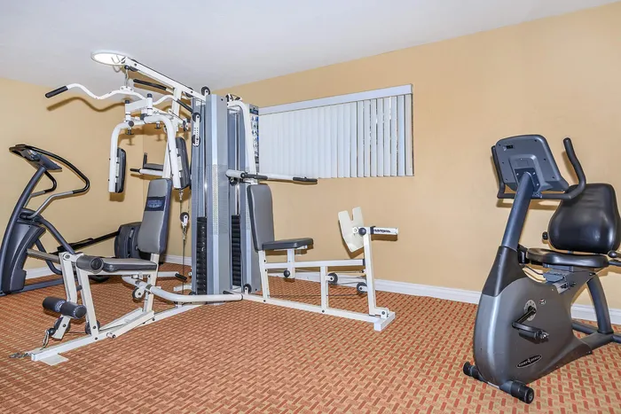 Modern apartment gym featuring a versatile multi-station workout machine and stationary bike on stylish carpeting.
