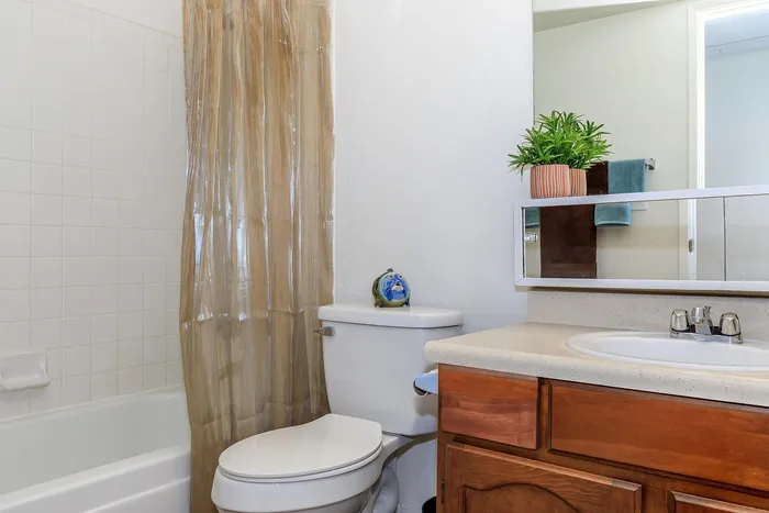 Bright and inviting bathroom with elegant tile, modern shower curtain, and stylish vanity complemented by a lush potted plant.