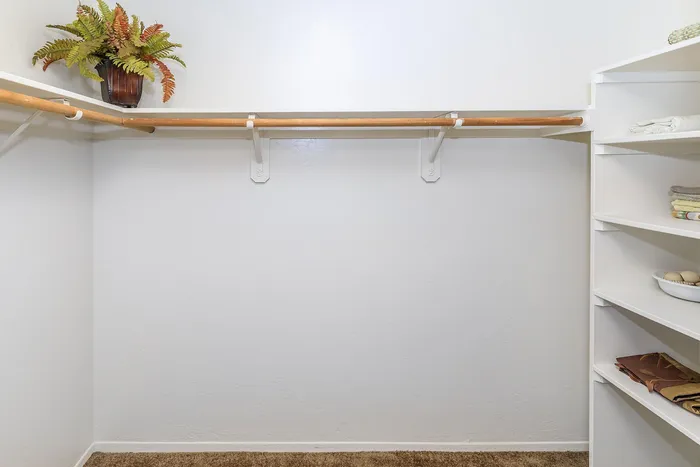 Spacious walk-in closet with elegant shelving and stylish decor, offering ample storage and organization.