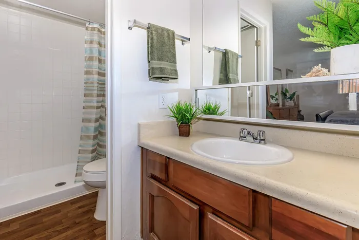 Contemporary bathroom with elegant wooden cabinetry, sleek countertops, and a verdant touch of fresh potted plants for a serene ambiance.