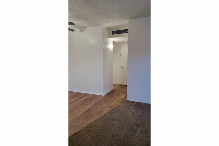 Inviting corner view of a modern apartment featuring a blend of classic carpeting and stylish hardwood flooring, perfect for a cozy yet contemporary living space.
