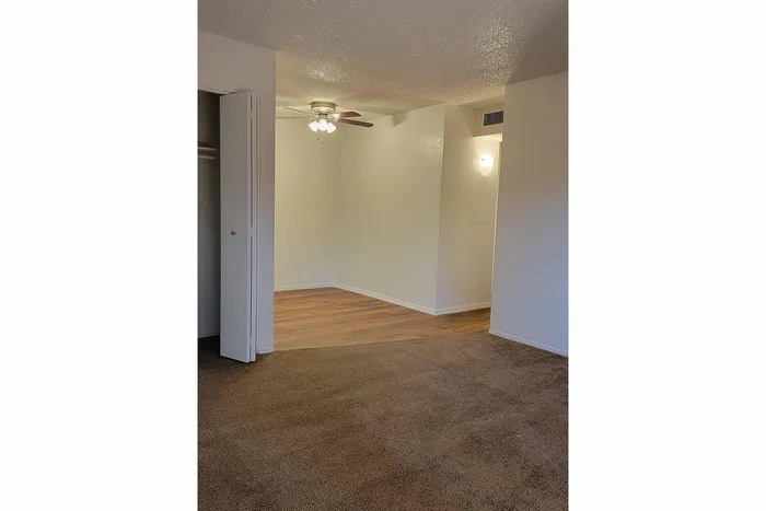 Inviting room with cozy carpeted floors and elegant ceiling fan, complemented by warm wood-style flooring and soft lighting.