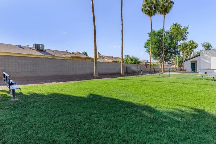 Bright and inviting outdoor space featuring lush green lawn, mature palm trees, and a comfortable bench, perfect for relaxation.