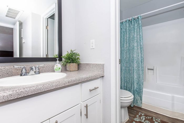Contemporary bathroom featuring a sleek vanity with a large mirror, elegant decor, and a shower with a stylish turquoise curtain.