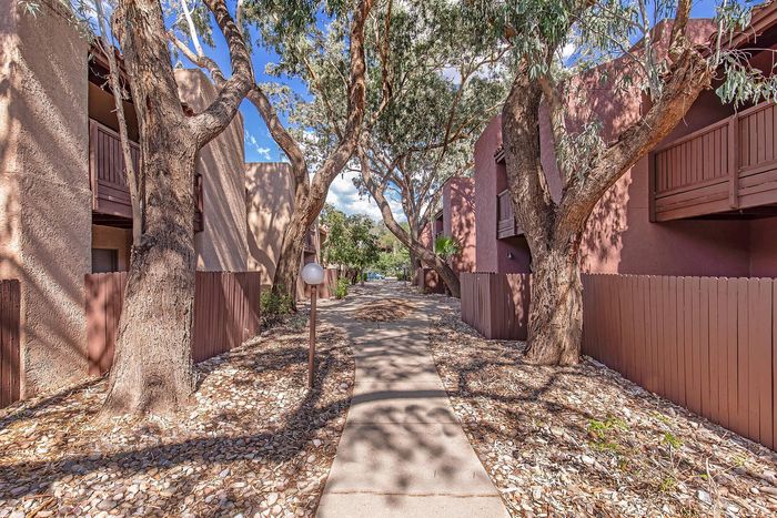 Charming apartment pathway lined with mature trees and natural landscaping, offering a serene and welcoming entrance.