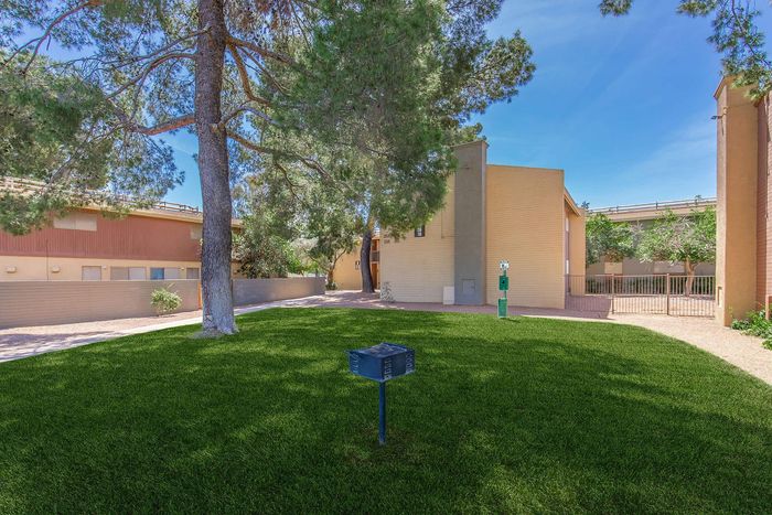 Inviting courtyard scene showcasing lush green grass and mature trees with a modern apartment exterior in the background.