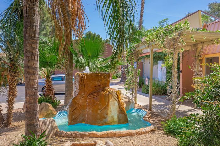 Serene garden oasis with a natural stone fountain surrounded by lush palm trees and vibrant greenery.