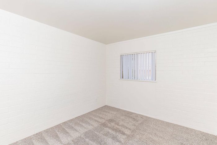 Bright and airy room with pristine white brick walls, plush carpeting, and a large window featuring vertical blinds.