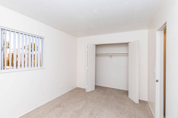 Bright and inviting room with plush carpet, ample closet space, and natural light through large window.