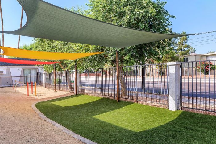 Charming outdoor area with vibrant shade sails and green lawn, perfect for relaxation and play in a sunny residential setting.