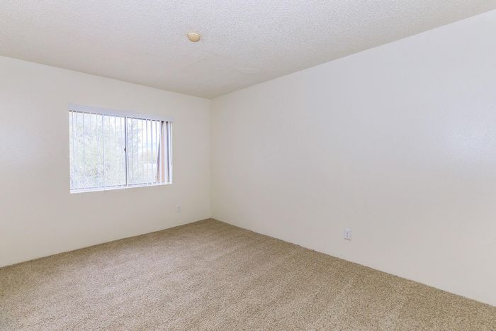 Bright, spacious bedroom featuring large window with vertical blinds, offering natural light and cozy carpet flooring.