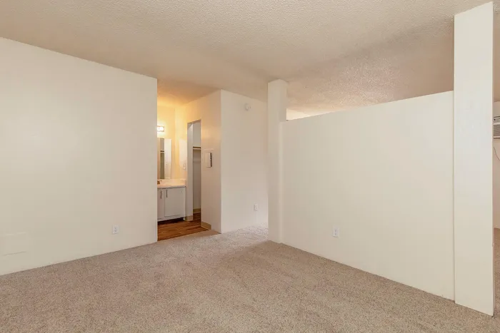 Bright and spacious apartment room featuring plush carpet flooring, a modern vanity area with warm lighting, and ample closet space for a cozy and functional living environment.