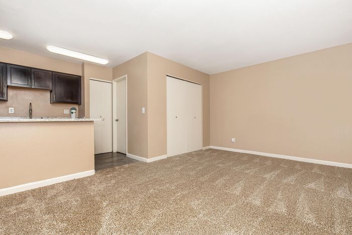 Inviting apartment space with plush carpet, sleek kitchen cabinetry, and ample storage options.