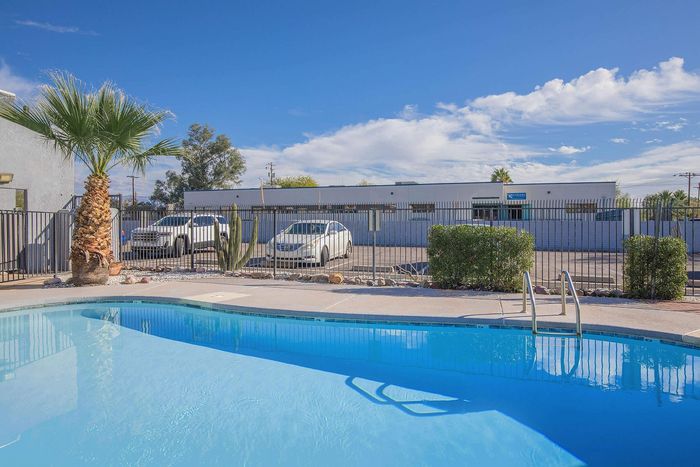 Inviting outdoor pool area with crystal-clear blue water, surrounded by lush greenery and a sunny ambiance.