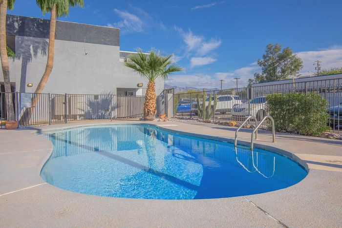 Charming outdoor pool area with clear blue water, surrounded by palm trees and sunlit skies, perfect for relaxation and leisure.