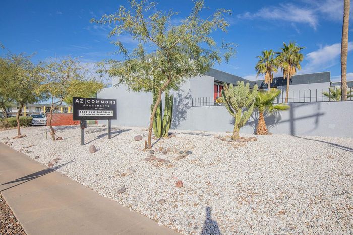 Charming AZ Commons Apartments showcasing desert landscaping with cacti and palm trees under a clear blue sky.